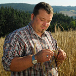 Rogner Hermann