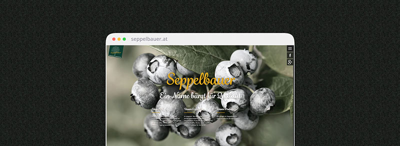 Webiste: Seppelbauer