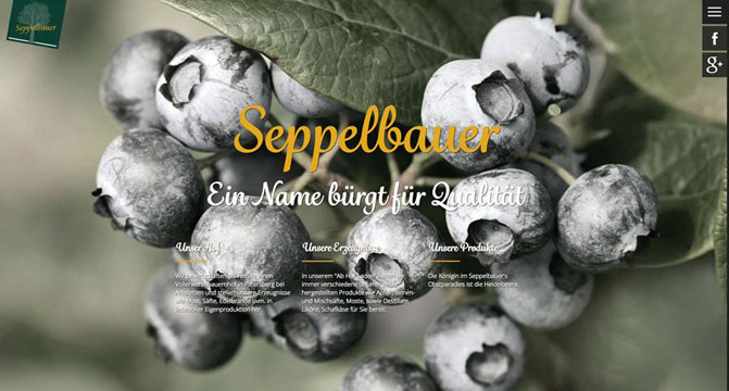 Webiste: Seppelbauer